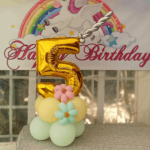 Themed birthday party for hire