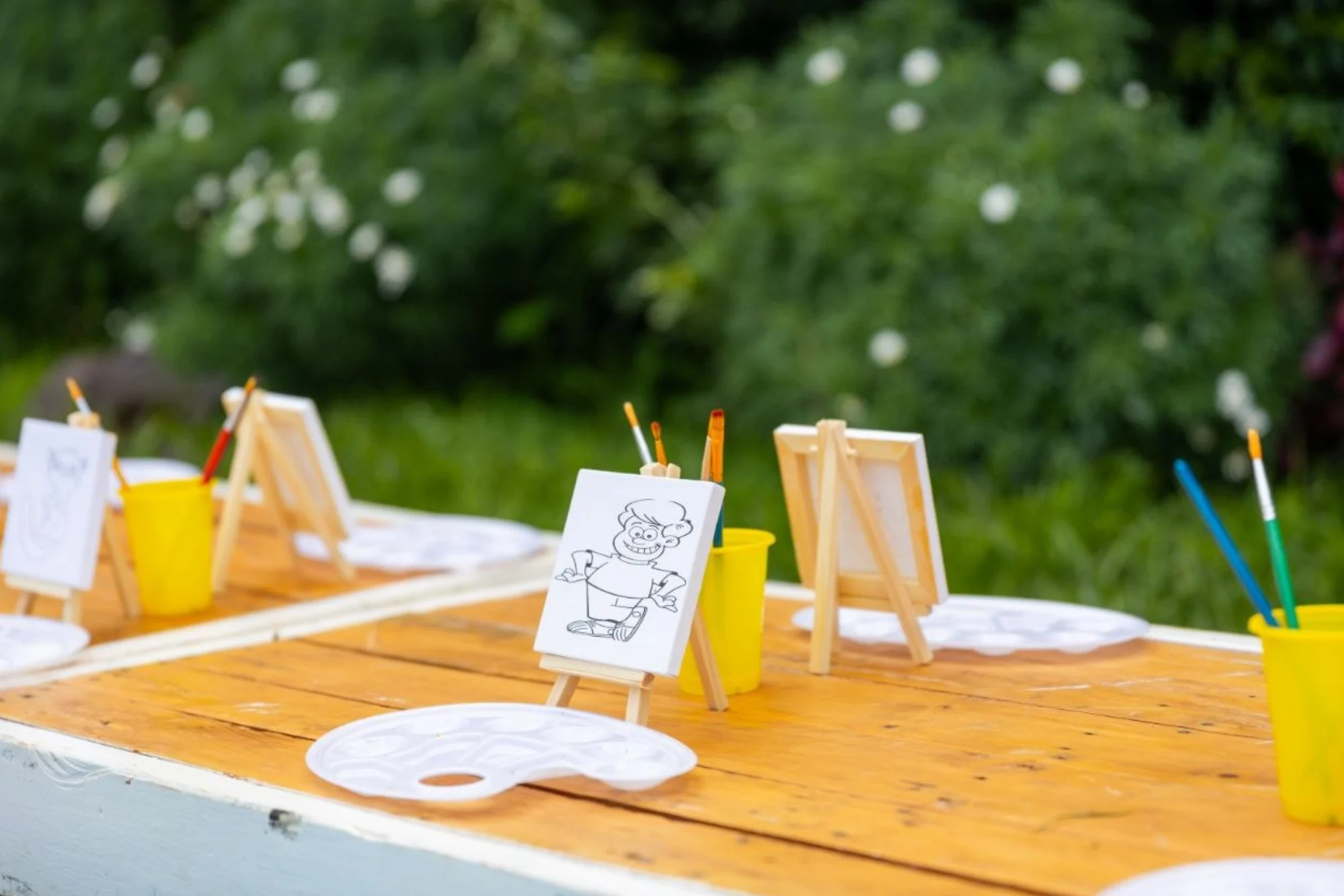 Picnic Setups